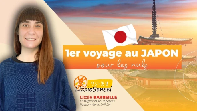 1er voyage au Japon pour les nuls