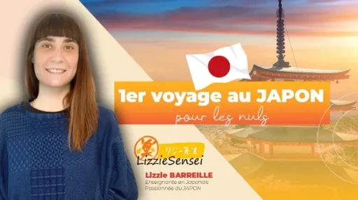1er voyage au Japon pour les nuls